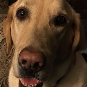 Meet your Posher, Cheistine